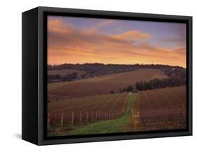 Early Spring over Knutsen Vineyards in Red Hills above Dundee, Oregon, USA-Janis Miglavs-Framed Stretched Canvas