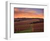 Early Spring over Knutsen Vineyards in Red Hills, Oregon, USA-Janis Miglavs-Framed Photographic Print