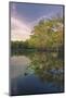 Early spring view of cypress trees reflecting on blackwater area of St. Johns River, FL-Adam Jones-Mounted Photographic Print