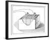 Early Storage Battery, 19th Century-Science Photo Library-Framed Photographic Print