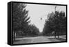 Early Street Light in Pennsylvania, Ca. 1900-null-Framed Stretched Canvas