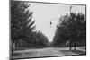 Early Street Light in Pennsylvania, Ca. 1900-null-Mounted Photographic Print