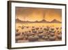 Early Stromatolites, Artwork-Richard Bizley-Framed Premium Photographic Print