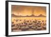 Early Stromatolites, Artwork-Richard Bizley-Framed Premium Photographic Print