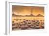 Early Stromatolites, Artwork-Richard Bizley-Framed Photographic Print