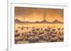 Early Stromatolites, Artwork-Richard Bizley-Framed Photographic Print