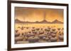 Early Stromatolites, Artwork-Richard Bizley-Framed Photographic Print