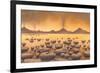 Early Stromatolites, Artwork-Richard Bizley-Framed Photographic Print