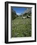 Early Summer Meadow Flowers, Above Kandersteg, Swiss Alps, Switzerland-Tony Waltham-Framed Premium Photographic Print