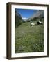 Early Summer Meadow Flowers, Above Kandersteg, Swiss Alps, Switzerland-Tony Waltham-Framed Photographic Print