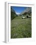 Early Summer Meadow Flowers, Above Kandersteg, Swiss Alps, Switzerland-Tony Waltham-Framed Photographic Print