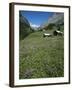 Early Summer Meadow Flowers, Above Kandersteg, Swiss Alps, Switzerland-Tony Waltham-Framed Photographic Print