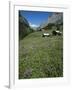 Early Summer Meadow Flowers, Above Kandersteg, Swiss Alps, Switzerland-Tony Waltham-Framed Photographic Print