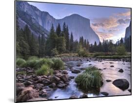 Early Sunrise, Yosemite, California, USA-Tom Norring-Mounted Premium Photographic Print