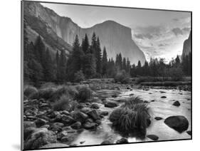 Early Sunrise, Yosemite, California, USA-Tom Norring-Mounted Premium Photographic Print