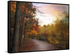Early to Rise-Jessica Jenney-Framed Stretched Canvas