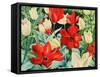 Early Tulips-Christopher Ryland-Framed Stretched Canvas