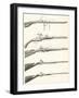 Early Types of Firearms. 1. the Matchlock 2. the Wheel Lock Arquebus 3. Snaphaunce Fowling Piece 4.-null-Framed Giclee Print