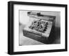 Early Typewriter-null-Framed Photographic Print