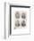 Early Victorian cricketers, 19th century (1912)-null-Framed Giclee Print