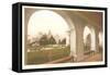 Early View, Balboa Park, San Diego, California-null-Framed Stretched Canvas