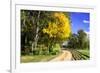 Early Virginia Autumn-Alan Hausenflock-Framed Photographic Print