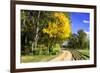 Early Virginia Autumn-Alan Hausenflock-Framed Photographic Print