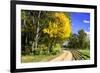 Early Virginia Autumn-Alan Hausenflock-Framed Photographic Print