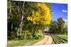 Early Virginia Autumn-Alan Hausenflock-Mounted Photographic Print