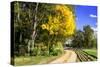 Early Virginia Autumn-Alan Hausenflock-Stretched Canvas