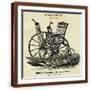 Brown Frame