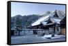 Early winter morning in Tenryu-ji Temple, UNESCO World Heritage Site, Kyoto, Japan, Asia-Damien Douxchamps-Framed Stretched Canvas