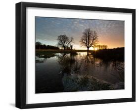 Early Winter Morning Reflection of Trees in a Flooded Icy Grassland in Richmond Park-Alex Saberi-Framed Photographic Print