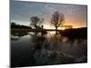 Early Winter Morning Reflection of Trees in a Flooded Icy Grassland in Richmond Park-Alex Saberi-Mounted Photographic Print