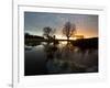 Early Winter Morning Reflection of Trees in a Flooded Icy Grassland in Richmond Park-Alex Saberi-Framed Photographic Print