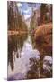 Early Winter Reflections on Merced River, Yosemite California-Vincent James-Mounted Photographic Print