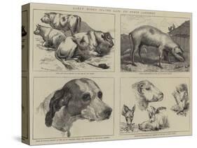 Early Works of the Late Sir Edwin Landseer-null-Stretched Canvas