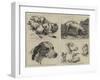 Early Works of the Late Sir Edwin Landseer-null-Framed Giclee Print