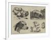 Early Works of the Late Sir Edwin Landseer-null-Framed Giclee Print