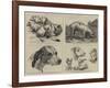 Early Works of the Late Sir Edwin Landseer-null-Framed Giclee Print