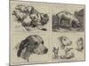 Early Works of the Late Sir Edwin Landseer-null-Mounted Giclee Print