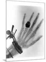 Early X-ray Photograph of a Hand Taken In 1896-Science Photo Library-Mounted Photographic Print
