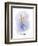 Earring-Maria Trad-Framed Giclee Print