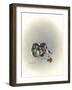 Ears Lookin at You Kid-Peggy Harris-Framed Giclee Print