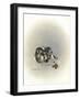 Ears Lookin at You Kid-Peggy Harris-Framed Giclee Print