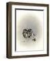 Ears Lookin at You Kid-Peggy Harris-Framed Giclee Print