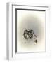 Ears Lookin at You Kid-Peggy Harris-Framed Giclee Print