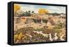 Ears of Corn Drying in Adobe Courtyard-null-Framed Stretched Canvas