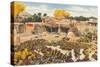 Ears of Corn Drying in Adobe Courtyard-null-Stretched Canvas