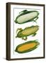 Ears of Corn-null-Framed Giclee Print